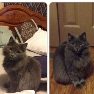 Meet your Posher, Taylor